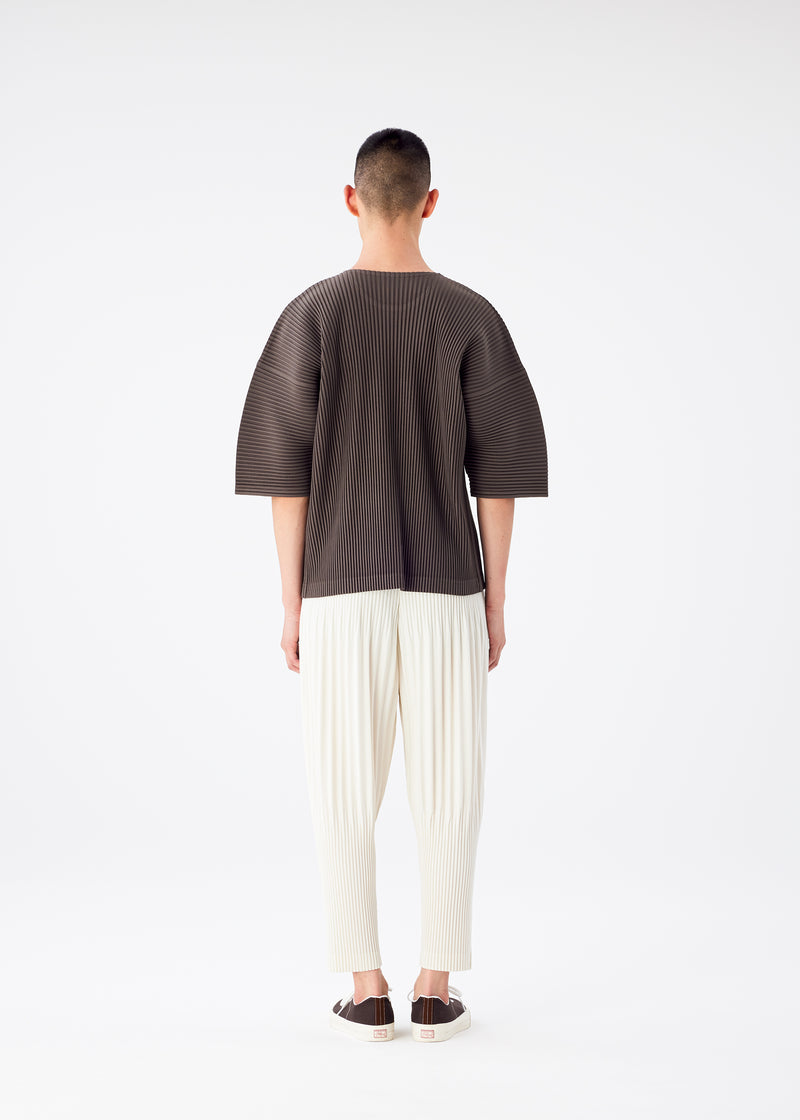 COLOR PLEATS Trousers Ivory