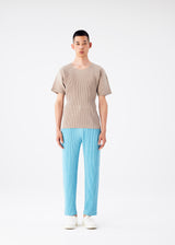 COLOR PLEATS Top Ivory