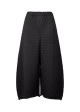 GLEAM PLEATS Trousers Black