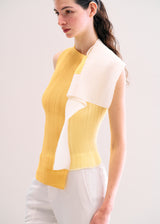 FRAMED PLEATS Top Orange