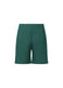 THICKER BOTTOMS 1 Shorts Turquoise Green
