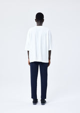 WOOL LIKE LIGHT Trousers Grey