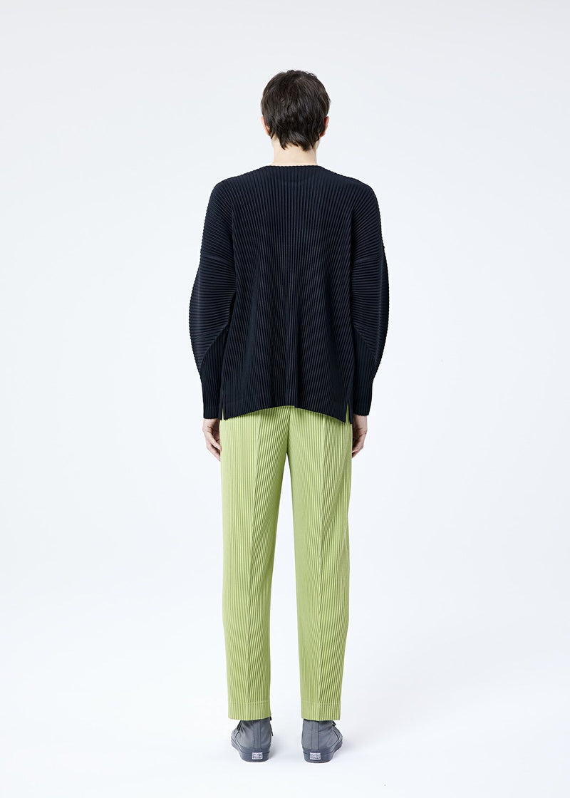 TAILORED PLEATS 1 Trousers Silver Grey