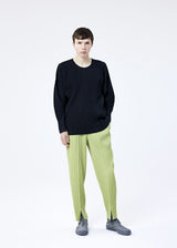 TAILORED PLEATS 1 Trousers Silver Grey