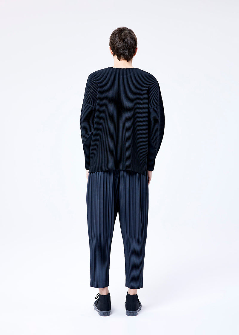 COLOR PLEATS Trousers Ivory