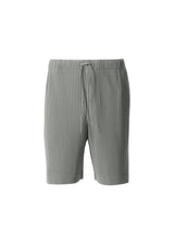 PLEATS BOTTOMS 3 Trousers Light Grey