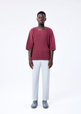 HEATHER PLEATS Top Red