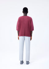 HEATHER PLEATS Top Red