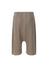 PLEATS BOTTOMS 1 Trousers Alpaca Brown