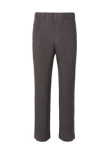 COLOR PLEATS Trousers Taupe Violet