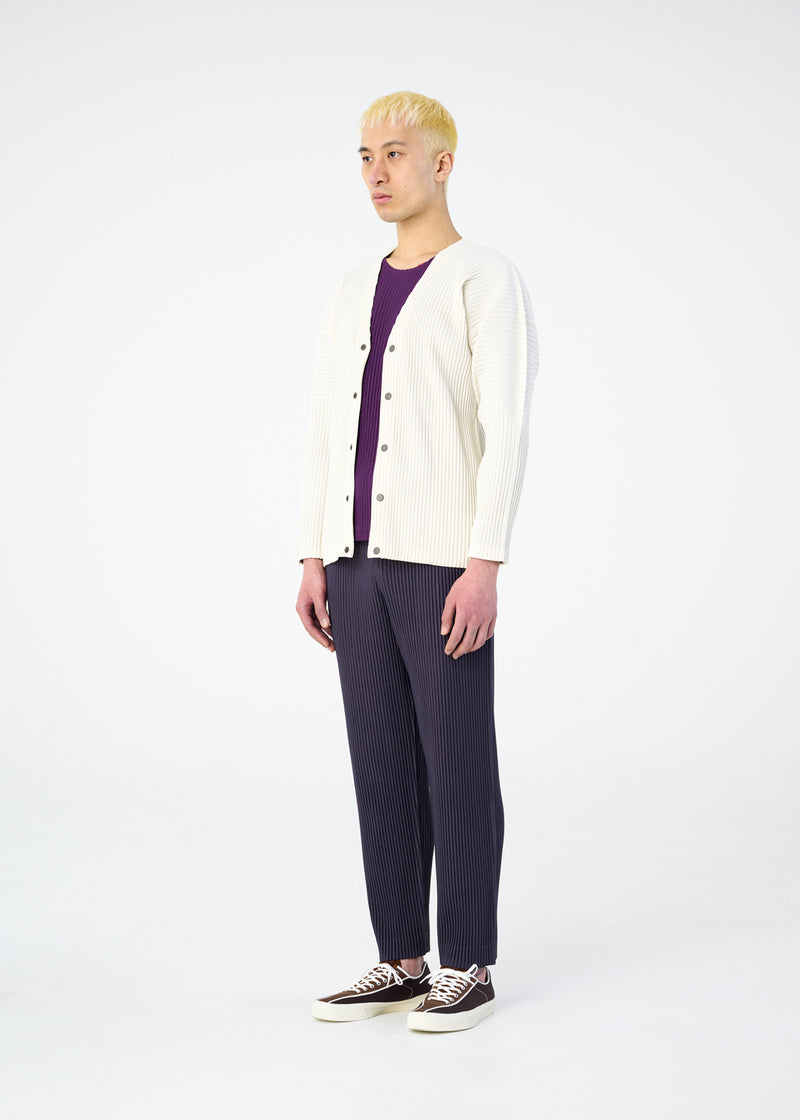 COLOR PLEATS Trousers Taupe Violet