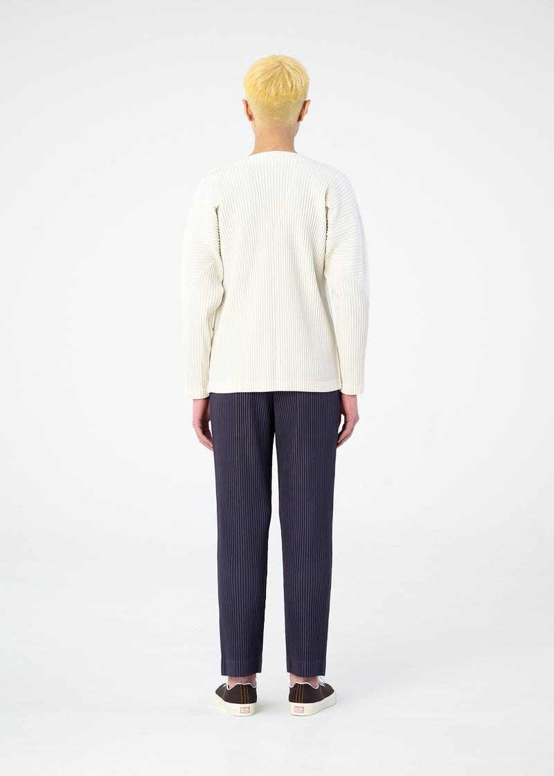 COLOR PLEATS Trousers Taupe Violet
