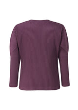 COLOR PLEATS Top Ivory