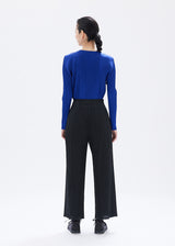 MONTHLY COLORS : OCTOBER Trousers Blue