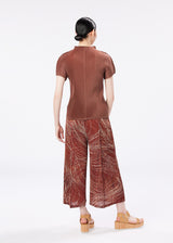 BREEZE Trousers Brown