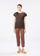 MONTHLY COLORS : JUNE Top Greyish Brown