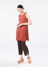 MONTHLY COLORS : JUNE Tunic Dark Brown