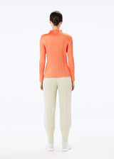MONTHLY COLORS : OCTOBER Trousers Orange