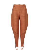 THICKER BOUNCE Trousers Brown