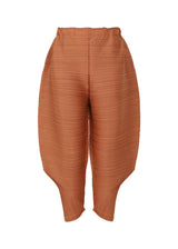 THICKER BOUNCE Trousers Brown