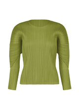 MONTHLY COLORS : OCTOBER Top Olive Green