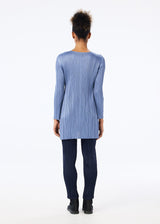 MONTHLY COLORS : NOVEMBER Tunic Greyish Blue
