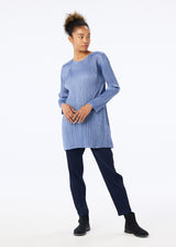 MONTHLY COLORS : NOVEMBER Tunic Greyish Blue