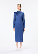 MONTHLY COLORS : JANUARY Dress Greyish Blue