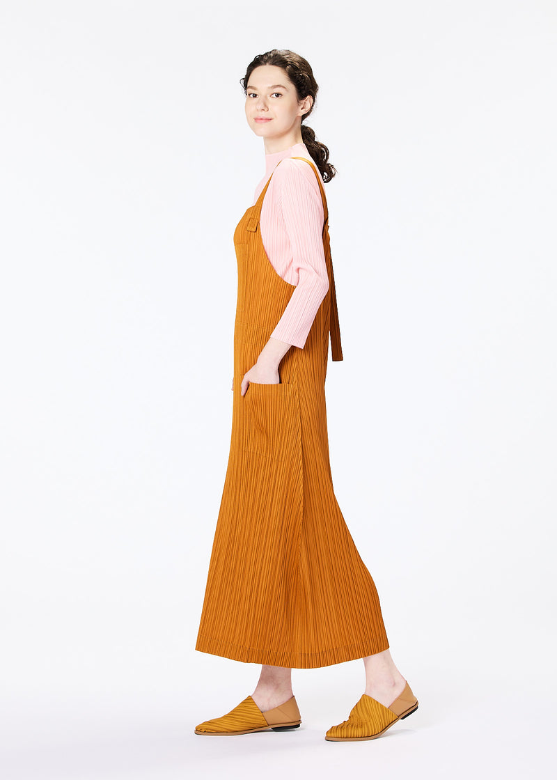 MONTHLY COLORS : FEBRUARY Dress Brown